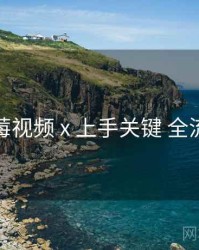 蓝莓视频 x 上手关键 全流程