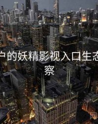 面向用户的妖精影视入口生态合作观察