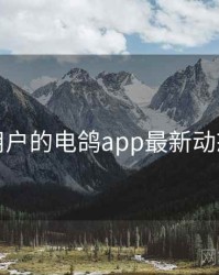 面向用户的电鸽app最新动态速览