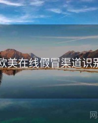 欧美在线假冒渠道识别