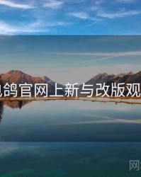 电鸽官网上新与改版观察