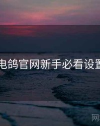 电鸽官网新手必看设置