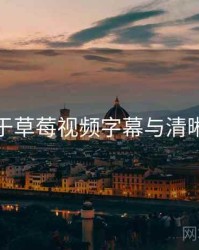 关于草莓视频字幕与清晰度