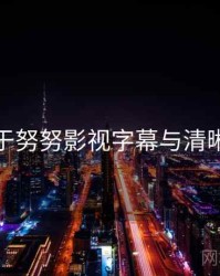 关于努努影视字幕与清晰度