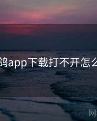 电鸽app下载打不开怎么办