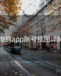 电鸽app账号找回详解