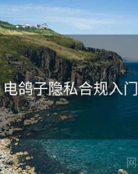 电鸽子隐私合规入门