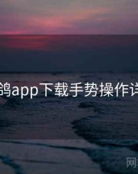 电鸽app下载手势操作详解