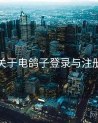 关于电鸽子登录与注册