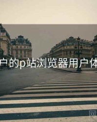 面向用户的p站浏览器用户体验报告