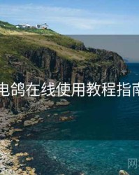 电鸽在线使用教程指南