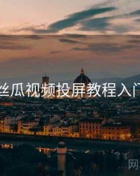 丝瓜视频投屏教程入门