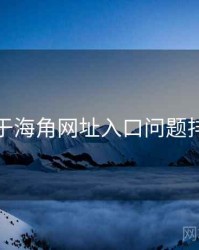关于海角网址入口问题排查