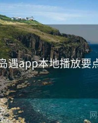 岛遇app本地播放要点