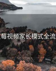 蓝莓视频家长模式全流程