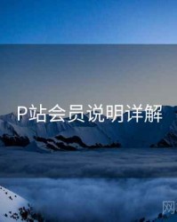 P站会员说明详解