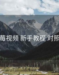 蓝莓视频 新手教程 对照表