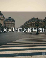 p站官网网址进入使用教程指南