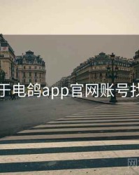 关于电鸽app官网账号找回
