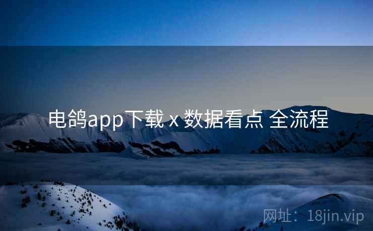 电鸽app下载 x 数据看点 全流程 电鸽app下载 x 数据看点 全流程