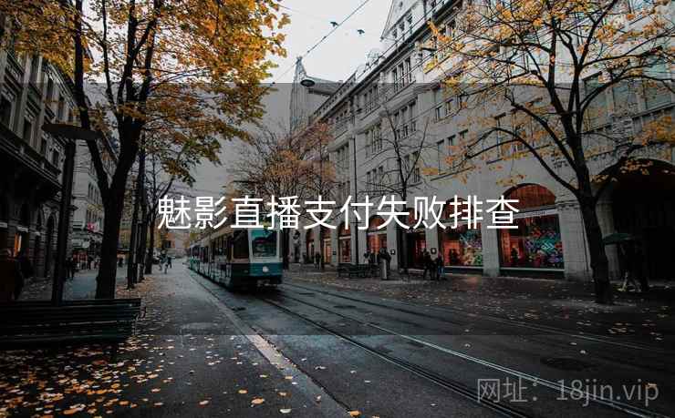 魅影直播支付失败排查