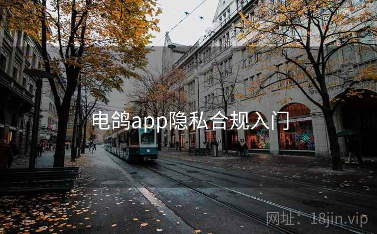 电鸽app隐私合规入门 电鸽app隐私合规入门