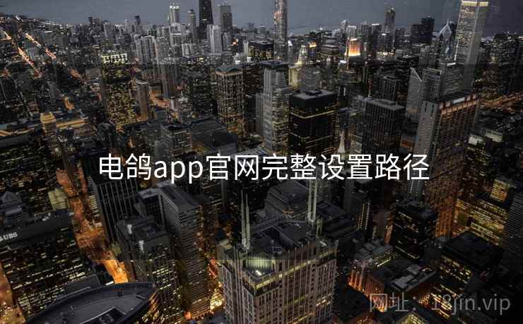电鸽app官网完整设置路径 电鸽app官网完整设置路径