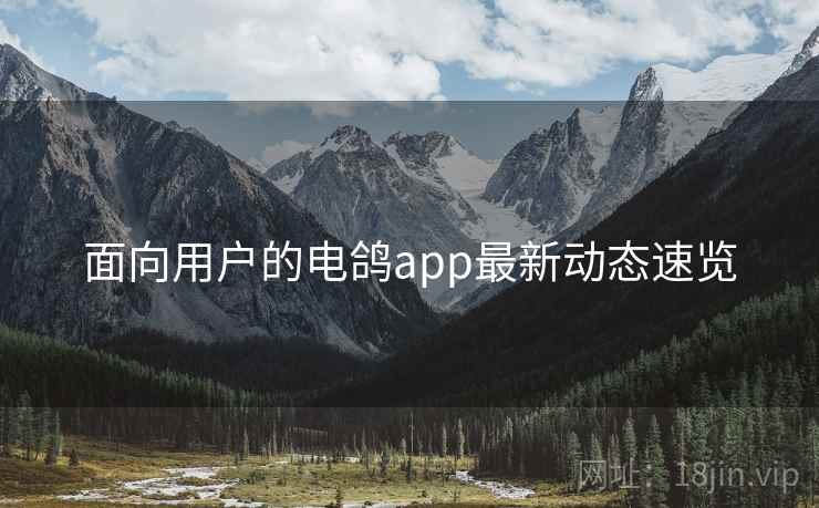 面向用户的电鸽app最新动态速览 面向用户的电鸽app最新动态速览