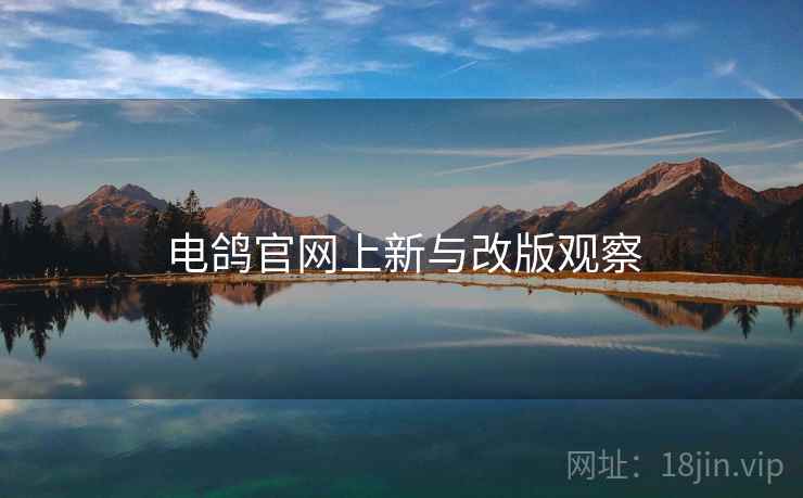 电鸽官网上新与改版观察 电鸽官网上新与改版观察