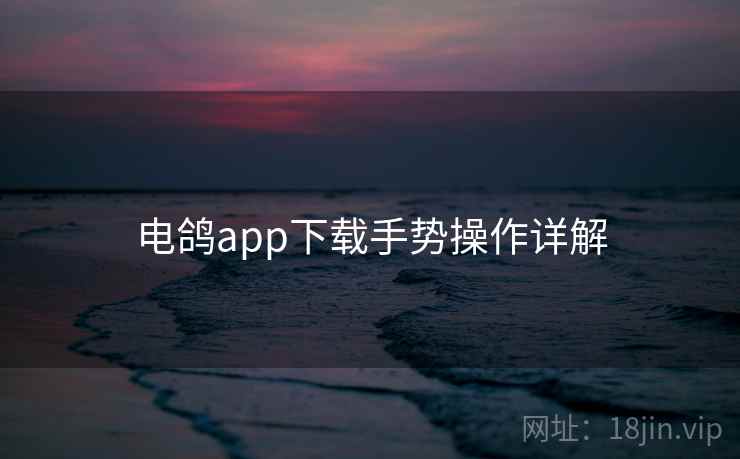 电鸽app下载手势操作详解