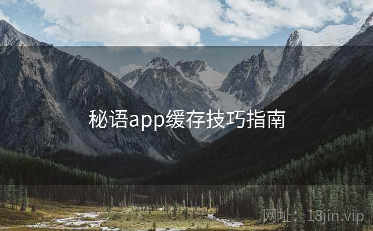 秘语app缓存技巧指南