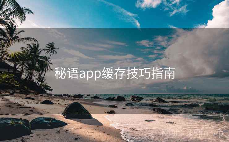 秘语app缓存技巧指南