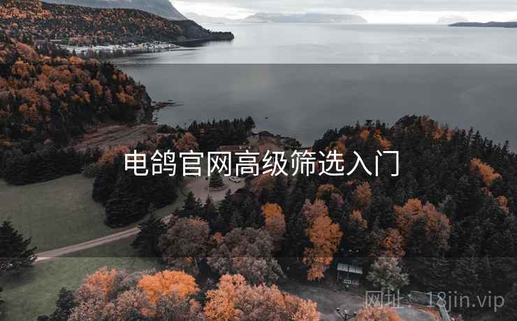 电鸽官网高级筛选入门